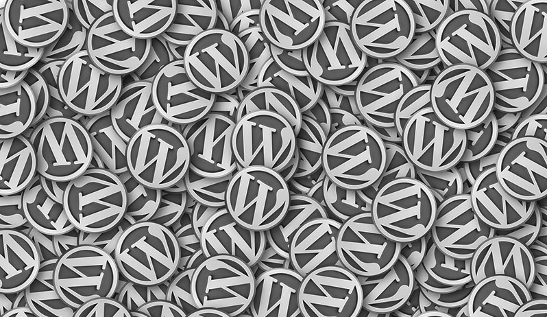 WordPress Training Sunshine Coast